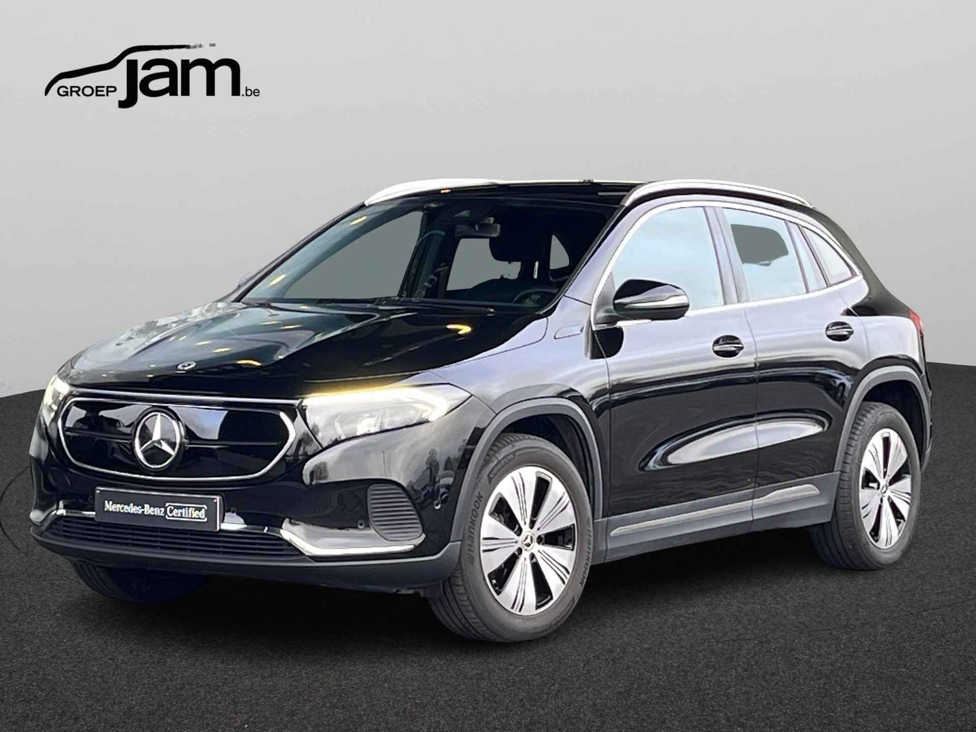 Mercedes-Benz EQA EQA 250 Business Solution